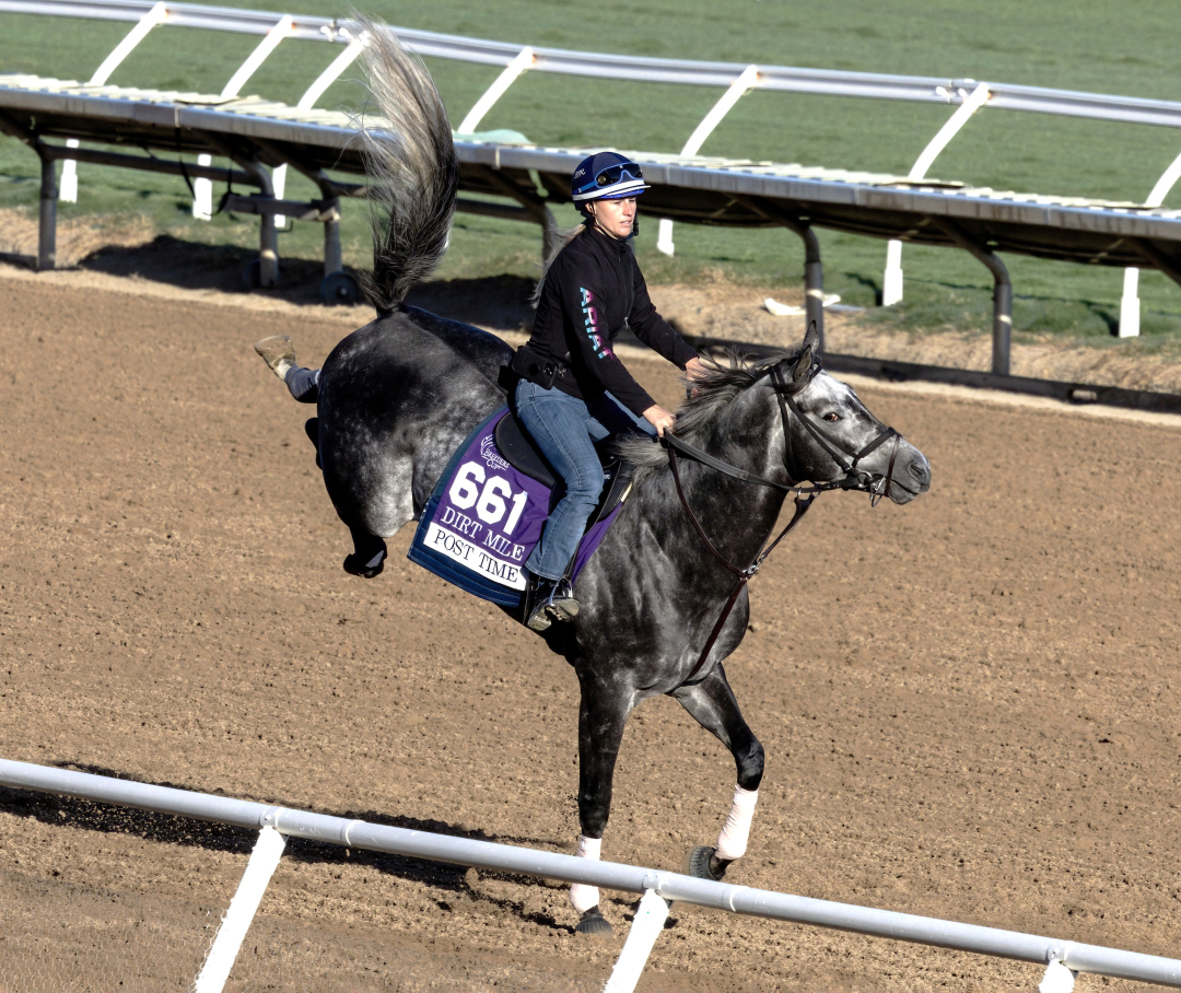 Breeders' Cup concludes with a Dirt Mile freeforall
